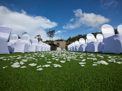 Artificial Grass Turf
