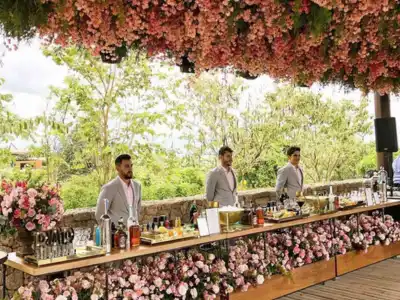 Portable Bar Counters