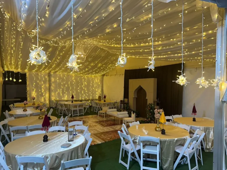 Luxury Wedding Chairs